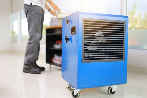 Best Environmental Consulting for Mold Prevention  in Bradenton, FL