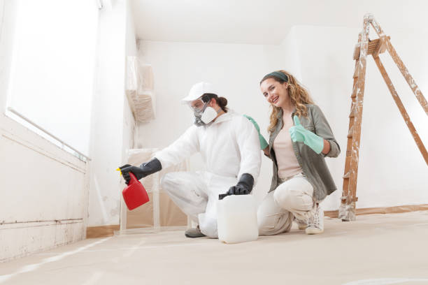 Biohazard Mold Removal in Bradenton, FL