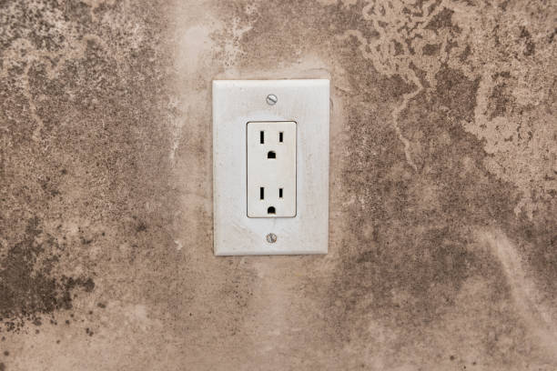 Best Water Damage & Mold Remediation  in Bradenton, FL